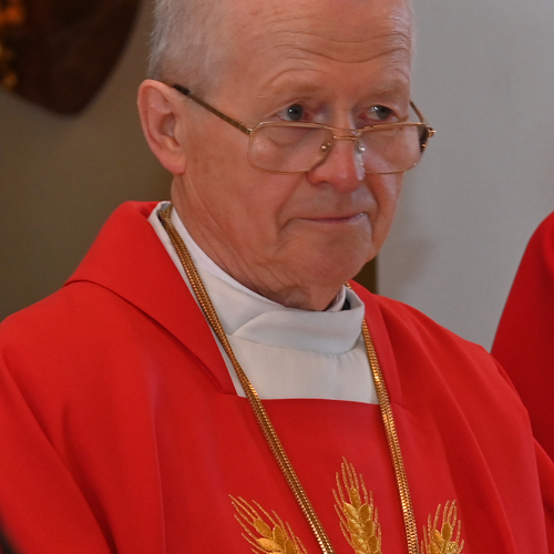 Copyright: Egon WEISSHEIMER, 27.04.2024 Grafenschlag, Firmung im Pfattverband Herz Jesu im Waldviertel, in der Pfarrkirche Grafenschlag, Firmspender: Domkapilar Mag. Herbert D?LLER, 